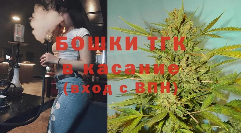 Каннабис OG Kush  Новомосковск 